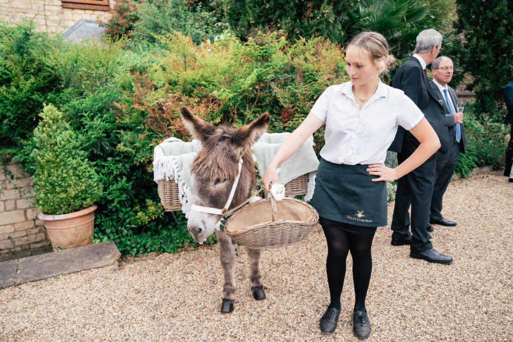 Ian the beer donkey at a barn wedding venue
