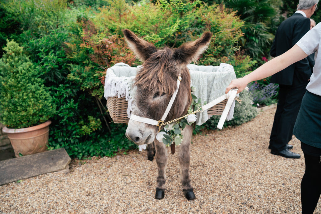 wedding beer donkey at a barn wedding venue