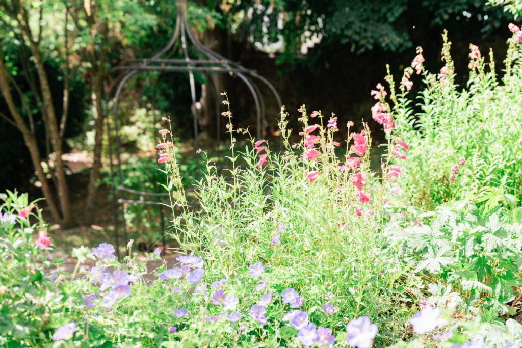 Sunlit garden with blooming flowers, including purple and pink blossoms, greenery, and a metal garden structure in the background—an ideal scene for a Guildford Registry Office photographer under leafy trees.